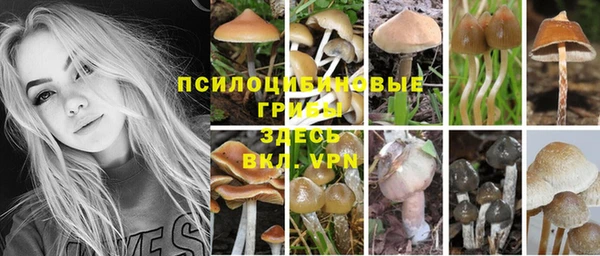 ALPHA-PVP Аркадак