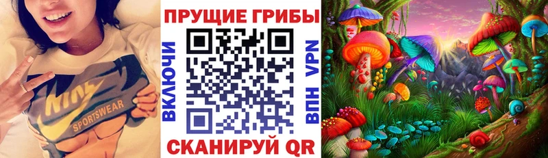 сайты даркнета клад  сколько стоит  Тимашёвск  Псилоцибиновые грибы MAGIC MUSHROOMS 